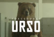 ESPN na Russia – Torcedores Urso Gregory Plotkin
