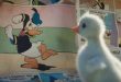 Disney lança “O Pato Pequeno” para promover seu parque temático