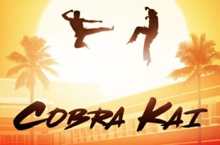 série cobra kai